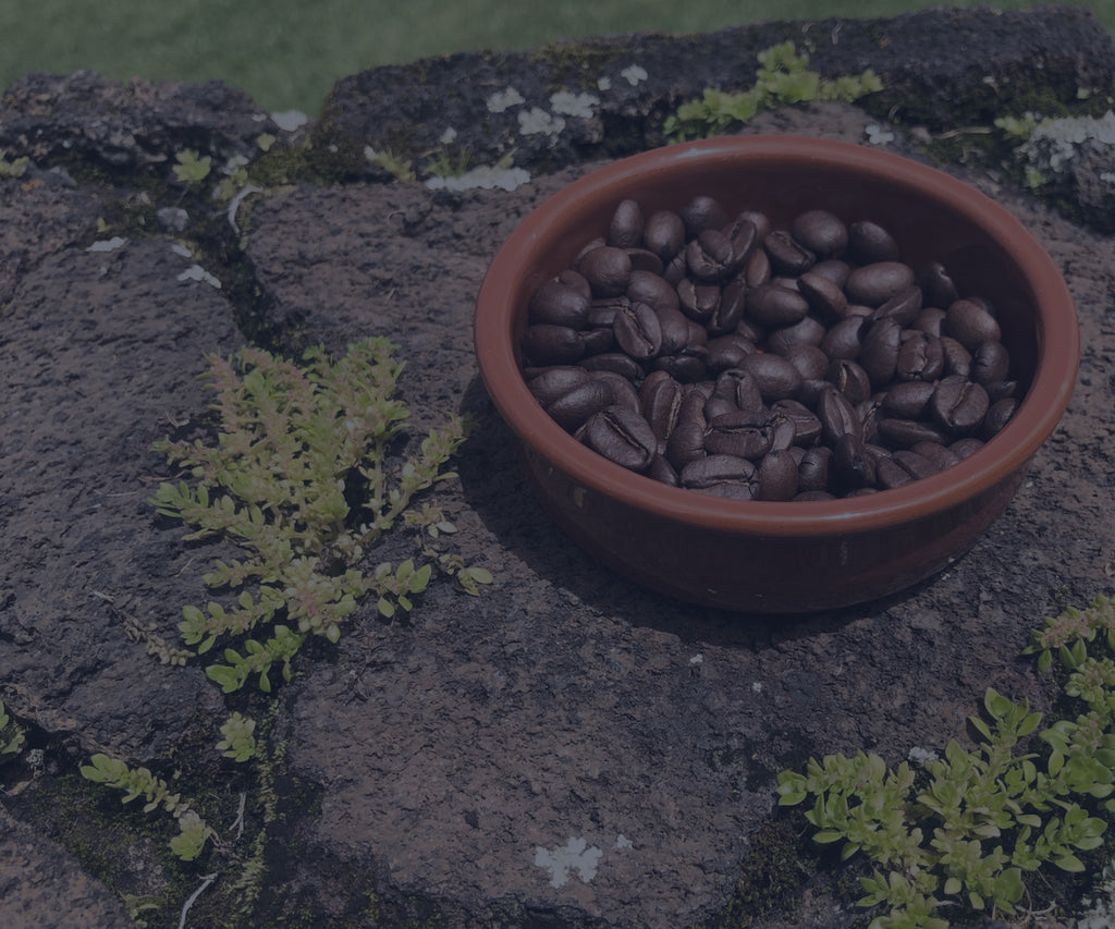 Our Beans are the Real Deal
