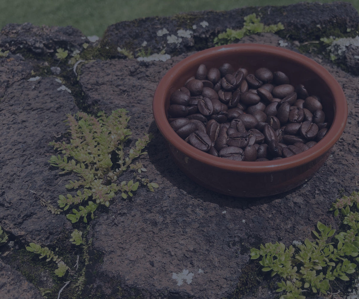 Our Beans are the Real Deal