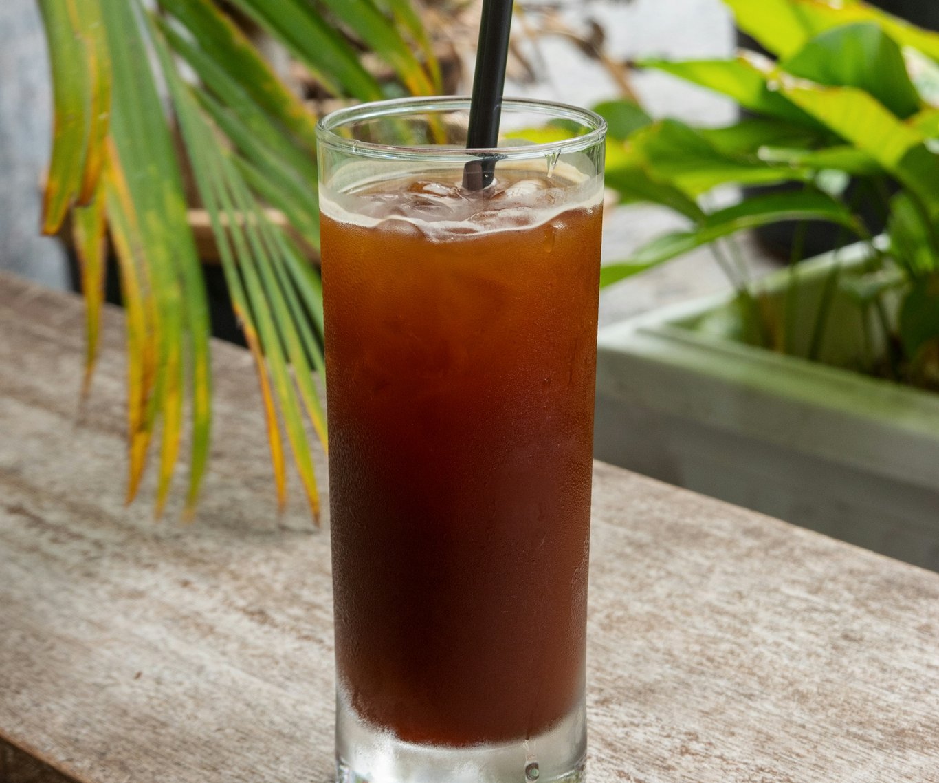 Iced Coffee at Home, Three Ways: Beyond Cold Brew