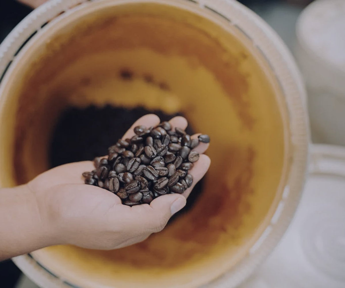 Why Roasted-to-Order Matters: Freshness, Oils, and Flavor That Doesn't Sit on a Shelf