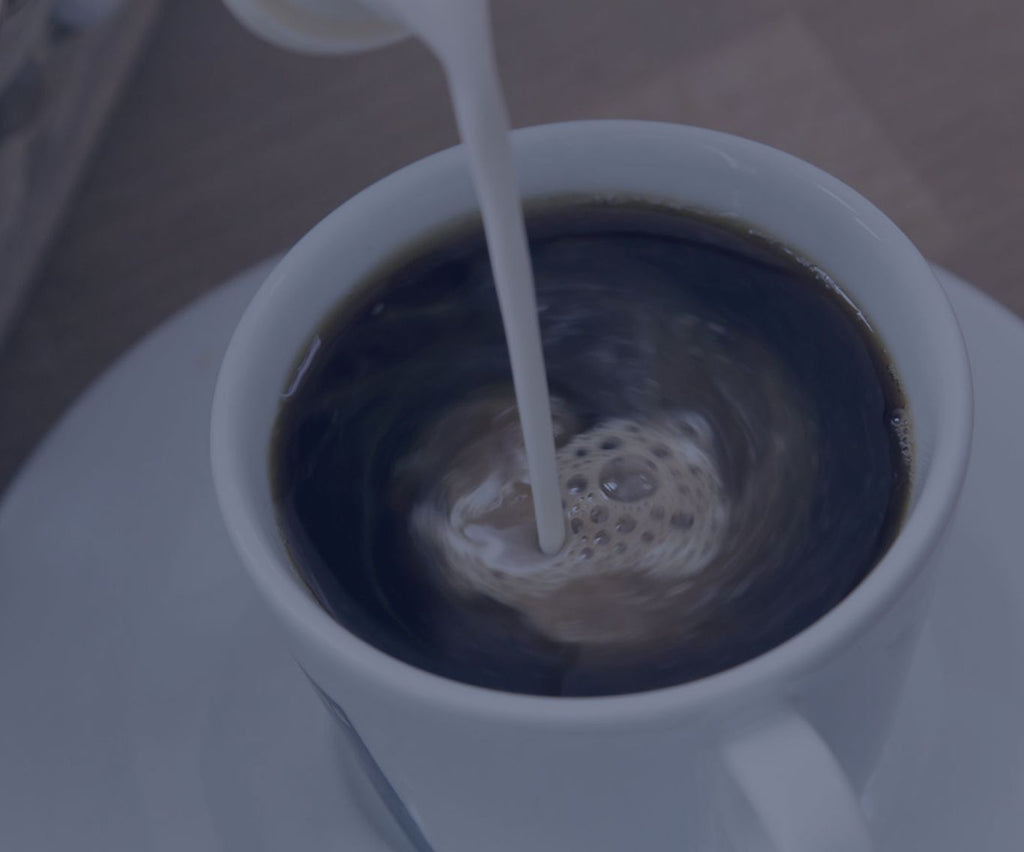 Brazen Hazen Kona Coffee | Brazen Hazen